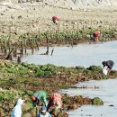 술상마을 주민발전소 이미지