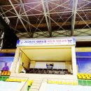 대한태권도스쿨 이미지