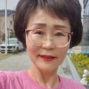 완주군 반려동물 놀이터 이미지