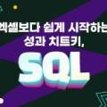 [SSS급 인재] 엑셀보다 쉽게 시작하는 성과 치트키, SQL 이미지