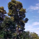 소풍이야기 민박 이미지