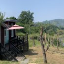 솔내음숲속작은집 이미지