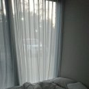 다모리네 이미지