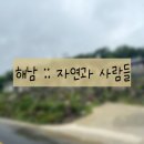 아리펜션형민박 | 해남 자연과사람들카페 :: 목포 근교 해남 드라이브 실내애견동반 돈까스 해물볶음밥 브런치 맛집 솔직후기