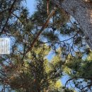 순포습지 | 강릉스노클링 조용하고 물맑은 동해바다 강릉순포해변