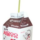 쵸코 Daum카페