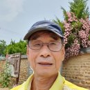 금매원