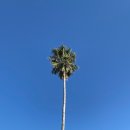 중문색달해수욕장 이미지