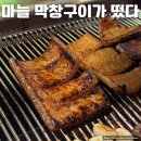 떴다 | 화곡 마늘막창구이가 떴다 – 생갈매기살·껍데기 맛집 (내돈내산 후기)