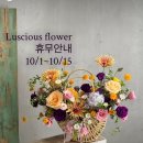 러셔스플라워 - 북구 덕천로275번길 24 | 러셔스플라워