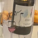 세계일주-고두비 이미지
