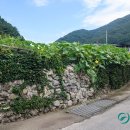 상정2구 이미지