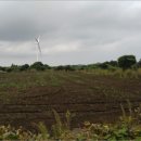 수산리-14 이미지