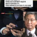 스트레이트 티브이데일리
