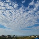 하랑게스트하우스 | [제주/모슬포항/대정읍 게스트하우스] 넓은 1인실 하랑게스트하우스,