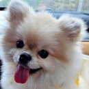 루트231 유치원 & 호텔 이미지