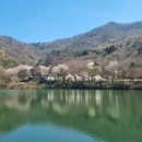 궁지골농원 이미지