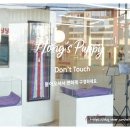 꼬리살랑 | 꼬리 살랑 영통강아지분양 11년 베테랑이 운영하는 힐링 플레이스 방문기!