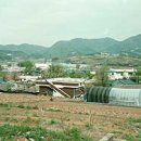 금고1리 이미지