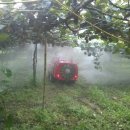 골드농장 이미지