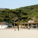 명사해수욕장 Daum카페