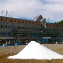 화이트피아 이미지