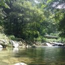 이동계곡 캠핑장 이미지