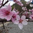 상기농장 이미지