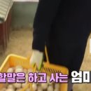 박규철농장 이미지