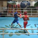 팀홍복싱 이미지