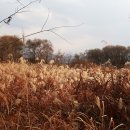 대명유수지 - 3898 | 대명유수지