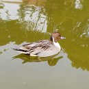 타잔 PC방 이미지