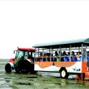 조령농장 이미지