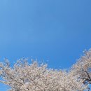 삼문풋살경기장 이미지