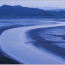 순천만 풍경 이미지