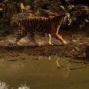 (주)스피드비젼테크놀로지 이미지