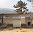 낭만컴퍼니