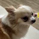 진주냉면 이설옥 - 세종특별자치시 | 진주냉면 이설옥