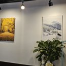 강동-천호-312 이미지