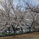 개나리공원 농구장 이미지