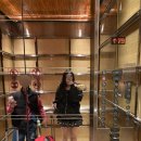 11620-10-54-5 | 상해 숙소 그랜드 하얏트 상하이 5성급 호텔 리버뷰 트윈룸 1박 및 조식 후기, 가격 정보