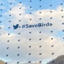 함백고등학교 이미지