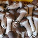 연호농장 이미지