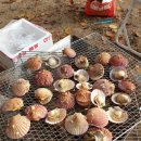 용인반딧불캠핑장 이미지