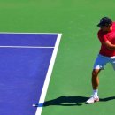 네이처짐 이미지