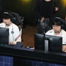 와일드 캣츠 이미지