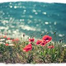 소울보이스 이미지