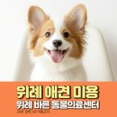 시즌아이PC방 위례신도시점 | 위례애견미용 잘하는곳 찾고 계신다면?