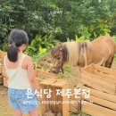 은식당 - 16812 | 제주 은식당 내돈내산 후기｜산방산 근처 아이랑 가기 좋은 돈카츠 맛집