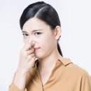 수바디 이미지